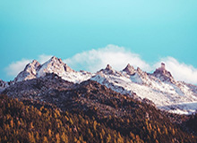 女足奥运名单出炉 王霜领衔 快马唐佳丽落选